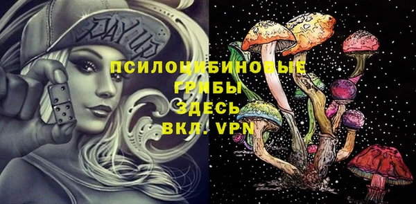 apvp Богородск