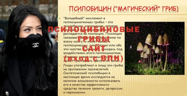 экстази Богданович